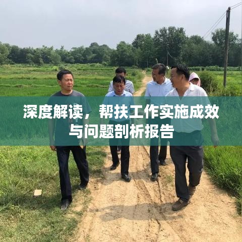 深度解讀，幫扶工作實施成效與問題剖析報告