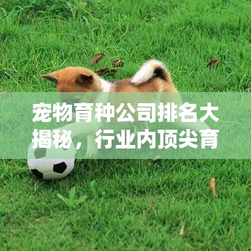 寵物育種公司排名大揭秘，行業(yè)內頂尖育種企業(yè)榜單！