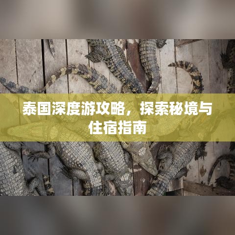 泰國(guó)深度游攻略，探索秘境與住宿指南