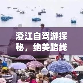 澄江自駕游探秘，絕美路線一網(wǎng)打盡！