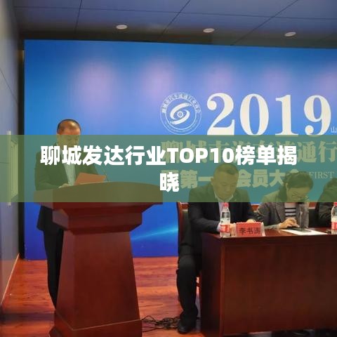 聊城發(fā)達行業(yè)TOP10榜單揭曉