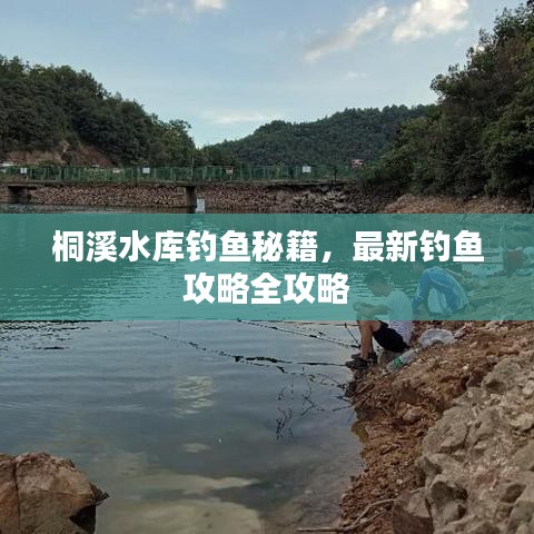 桐溪水庫釣魚秘籍，最新釣魚攻略全攻略