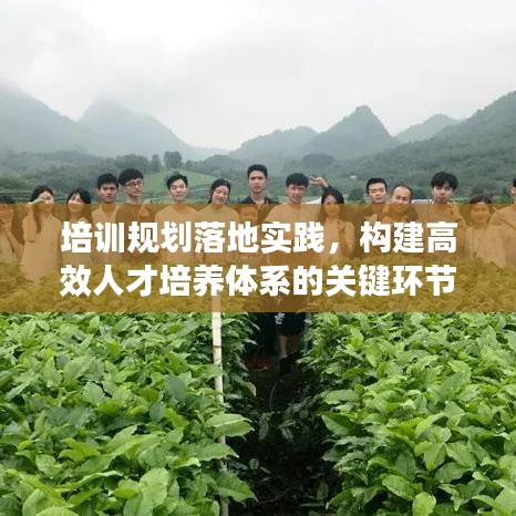 培訓(xùn)規(guī)劃落地實(shí)踐，構(gòu)建高效人才培養(yǎng)體系的關(guān)鍵環(huán)節(jié)