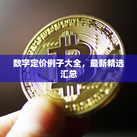 數(shù)字定價例子大全，最新精選匯總