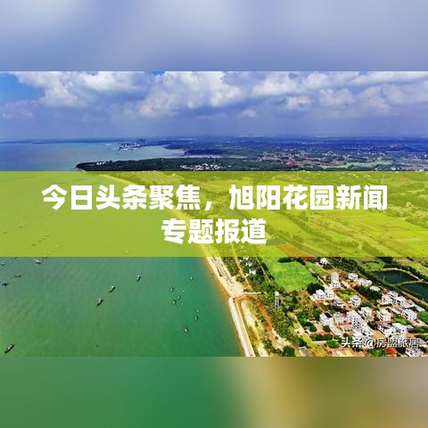 今日頭條聚焦，旭陽花園新聞專題報道