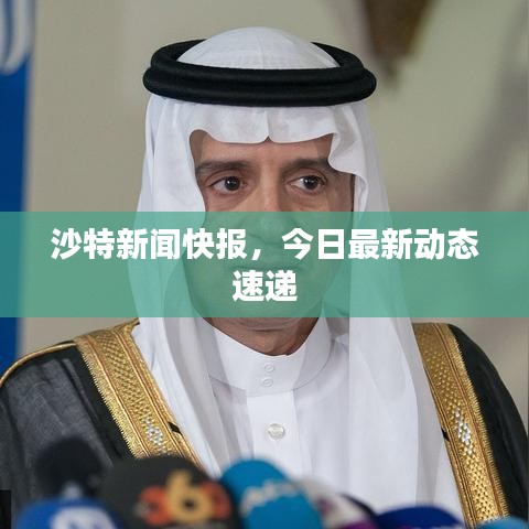 沙特新聞快報，今日最新動態(tài)速遞