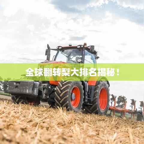 全球翻轉(zhuǎn)梨大排名揭秘！