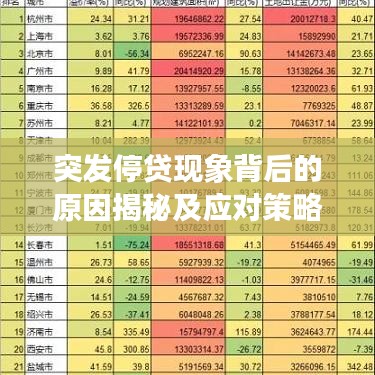 突發(fā)停貸現(xiàn)象背后的原因揭秘及應(yīng)對(duì)策略探討