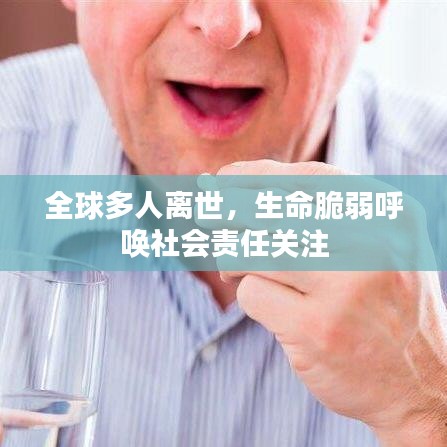 全球多人離世，生命脆弱呼喚社會責任關(guān)注