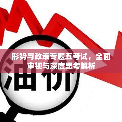 形勢與政策專題五考試，全面審視與深度思考解析
