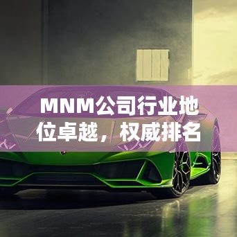 MNM公司行業(yè)地位卓越，權(quán)威排名揭曉！