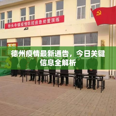 德州疫情最新通告，今日關(guān)鍵信息全解析