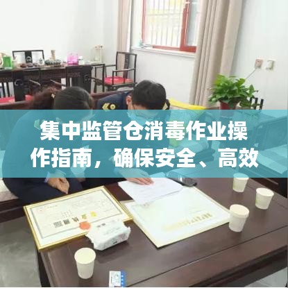 集中監(jiān)管倉(cāng)消毒作業(yè)操作指南，確保安全、高效的消毒流程