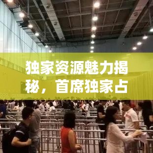 獨(dú)家資源魅力揭秘，首席獨(dú)家占有下載全攻略