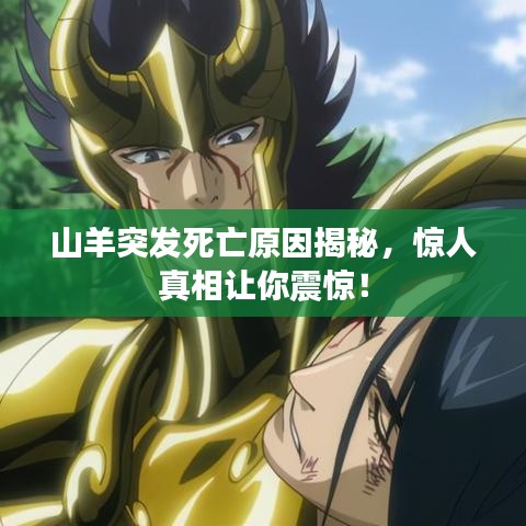 山羊突發(fā)死亡原因揭秘，驚人真相讓你震驚！