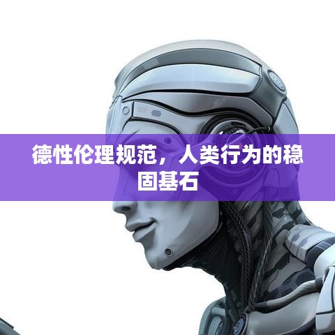 德性倫理規(guī)范，人類行為的穩(wěn)固基石