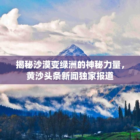 揭秘沙漠變綠洲的神秘力量，黃沙頭條新聞獨(dú)家報(bào)道