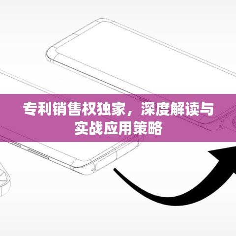 專利銷售權(quán)獨家，深度解讀與實戰(zhàn)應(yīng)用策略