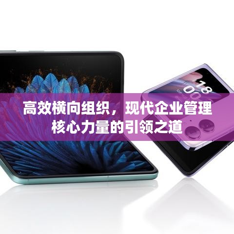 高效橫向組織，現(xiàn)代企業(yè)管理核心力量的引領之道
