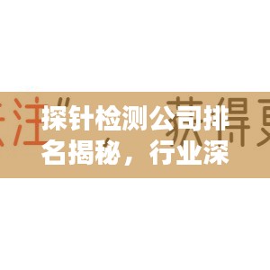 探針檢測公司排名揭秘，行業(yè)深度分析與趨勢預(yù)測