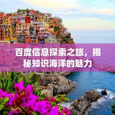 百度信息探索之旅，揭秘知識海洋的魅力