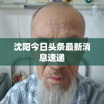 沈陽今日頭條最新消息速遞