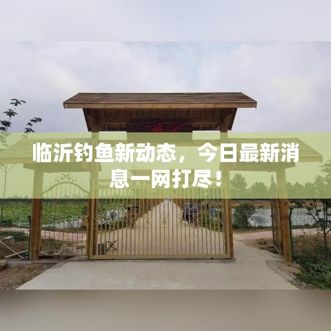 臨沂釣魚新動(dòng)態(tài)，今日最新消息一網(wǎng)打盡！
