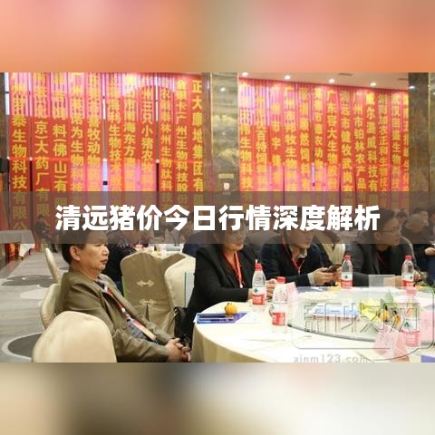 公司簡(jiǎn)介 第76頁(yè)