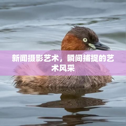 新聞攝影藝術(shù)，瞬間捕捉的藝術(shù)風(fēng)采