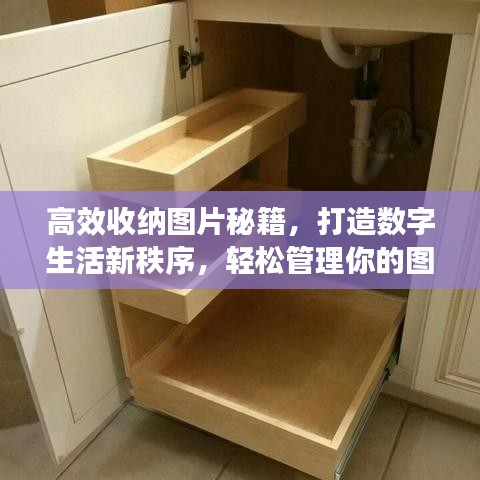 高效收納圖片秘籍，打造數(shù)字生活新秩序，輕松管理你的圖片世界！