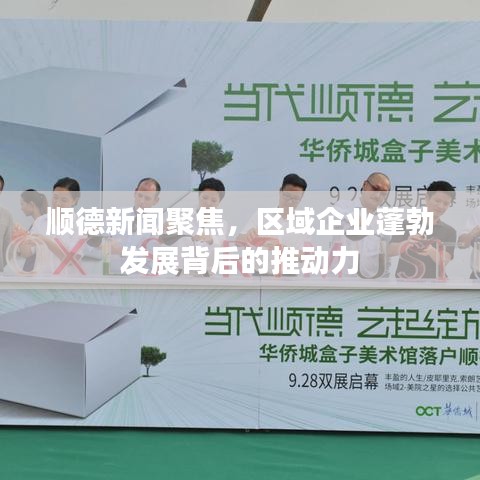 順德新聞聚焦，區(qū)域企業(yè)蓬勃發(fā)展背后的推動(dòng)力