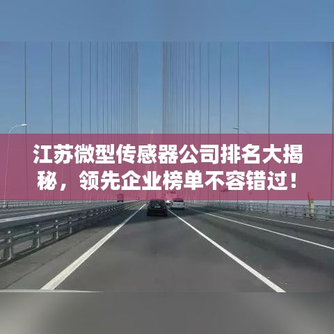 江蘇微型傳感器公司排名大揭秘，領(lǐng)先企業(yè)榜單不容錯(cuò)過！