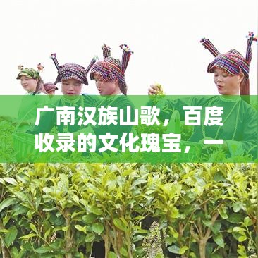 廣南漢族山歌，百度收錄的文化瑰寶，一曲傳承千年的旋律