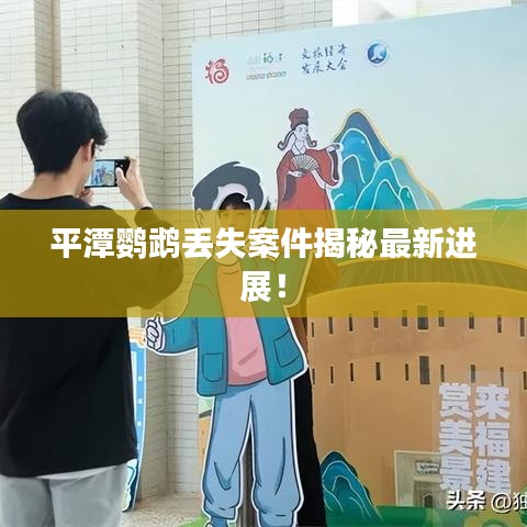 平潭鸚鵡丟失案件揭秘最新進(jìn)展！