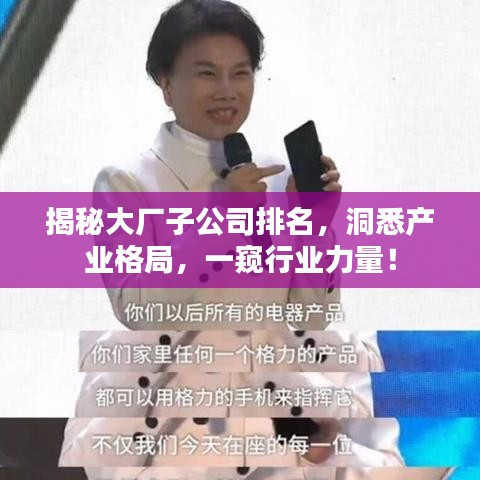 揭秘大廠子公司排名，洞悉產(chǎn)業(yè)格局，一窺行業(yè)力量！