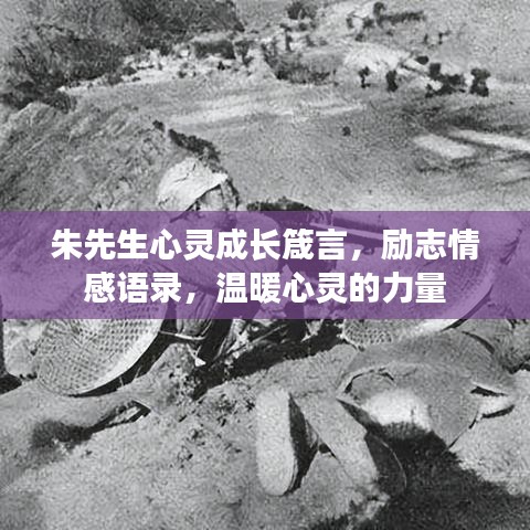 朱先生心靈成長箴言，勵志情感語錄，溫暖心靈的力量