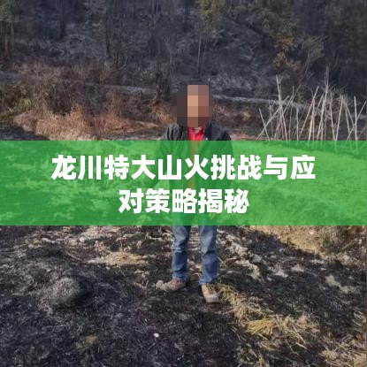 龍川特大山火挑戰(zhàn)與應(yīng)對策略揭秘