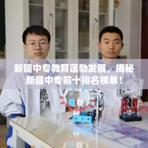 新疆中專教育蓬勃發(fā)展，揭秘新疆中專前十排名榜單！