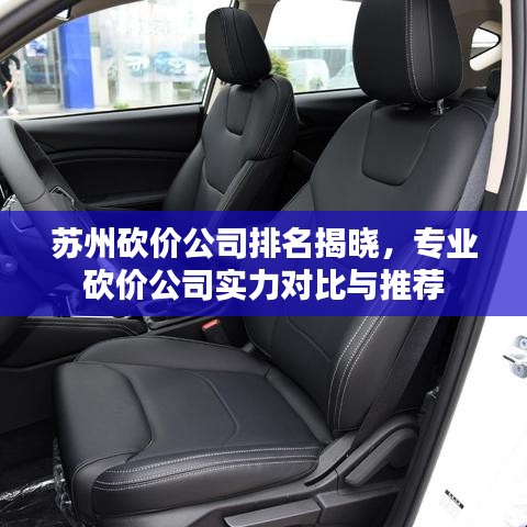 蘇州砍價公司排名揭曉，專業(yè)砍價公司實(shí)力對比與推薦
