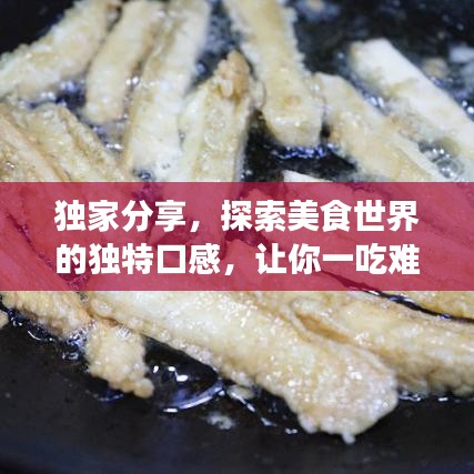 獨(dú)家分享，探索美食世界的獨(dú)特口感，讓你一吃難忘！