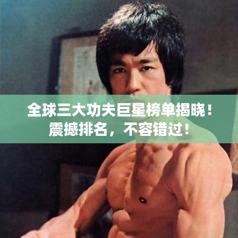 全球三大功夫巨星榜單揭曉！震撼排名，不容錯(cuò)過！