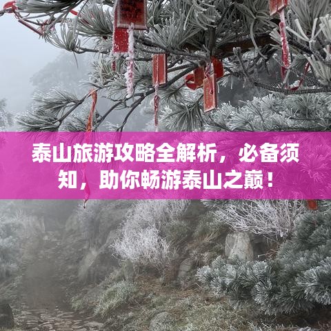 泰山旅游攻略全解析，必備須知，助你暢游泰山之巔！