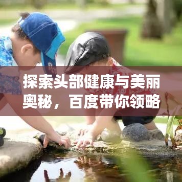探索頭部健康與美麗奧秘，百度帶你領(lǐng)略新知