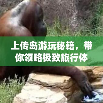 上傳島游玩秘籍，帶你領(lǐng)略極致旅行體驗！