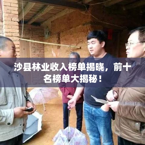 沙縣林業(yè)收入榜單揭曉，前十名榜單大揭秘！