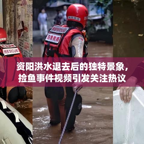 資陽洪水退去后的獨特景象，撿魚事件視頻引發(fā)關(guān)注熱議
