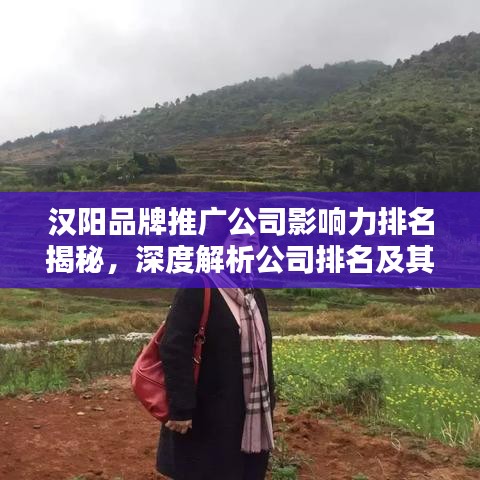 漢陽品牌推廣公司影響力排名揭秘，深度解析公司排名及其影響力