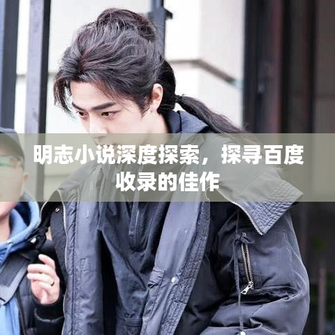 明志小說深度探索，探尋百度收錄的佳作